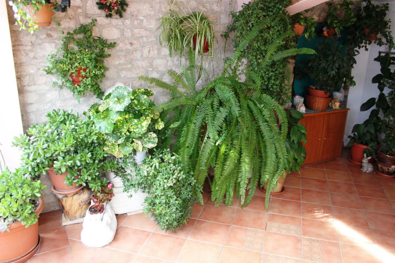 Apartman Nada Sali Zewnętrze zdjęcie